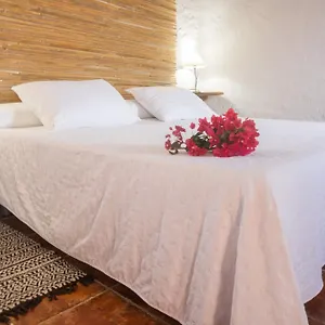 Aloe Vera Country house Huercal-Overa